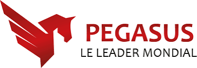 Pegasus